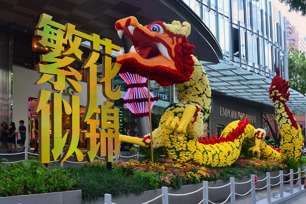 大图地址