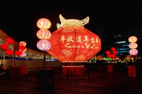 缩略图