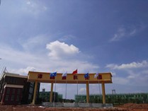 缩略图