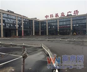 缩略图