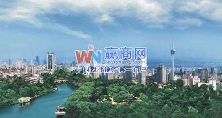 缩略图