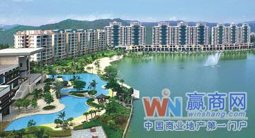 缩略图