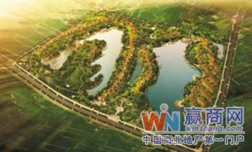 缩略图