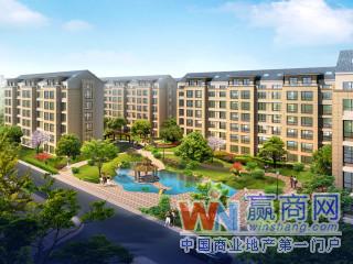 缩略图